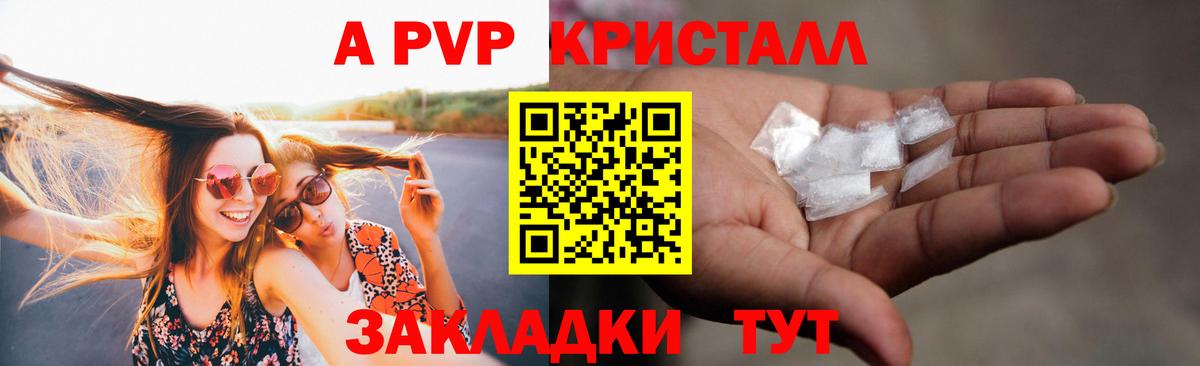A PVP СК КРИС Бузулук