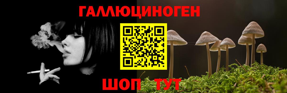 Псилоцибиновые грибы Psilocybe Бузулук